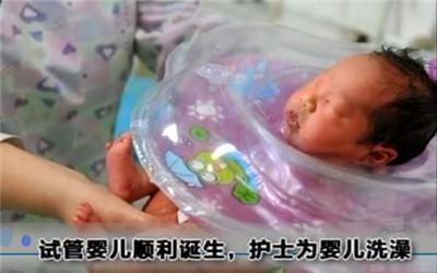 专家
