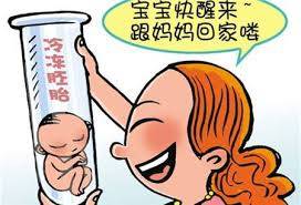 专家
